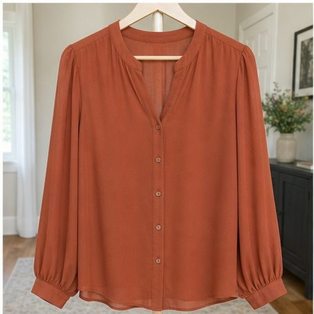 Rust Tunic Blouse